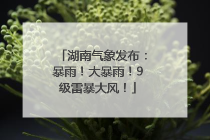 湖南气象发布：暴雨！大暴雨！9级雷暴大风！