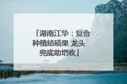 湖南江华：复合种植结硕果 龙头兜底助增收