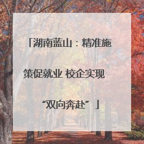 湖南蓝山：精准施策促就业 校企实现“双向奔赴”