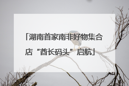 湖南首家南非好物集合店“酋长码头”启航