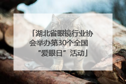 湖北省眼镜行业协会举办第30个全国“爱眼日”活动