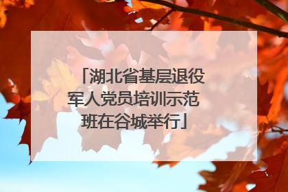 湖北省基层退役军人党员培训示范班在谷城举行
