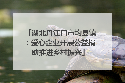 湖北丹江口市均县镇：爱心企业开展公益捐助推进乡村振兴