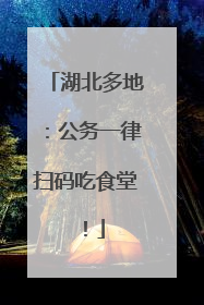 湖北多地：公务一律扫码吃食堂！