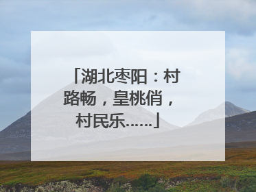 湖北枣阳：村路畅，皇桃俏，村民乐……