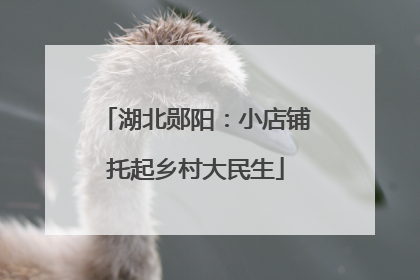 湖北郧阳：小店铺托起乡村大民生