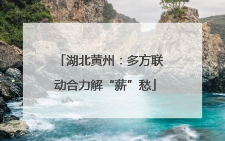 湖北黄州：多方联动合力解“薪”愁