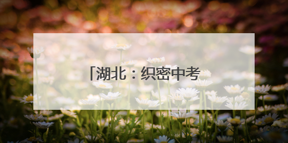 湖北：织密中考保电安全网 护航荆楚学子逐梦路