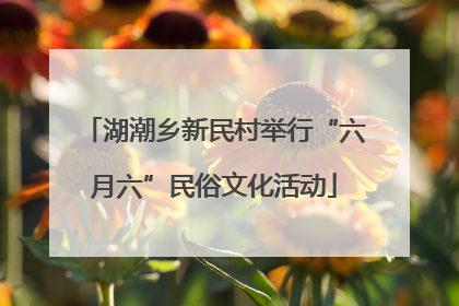湖潮乡新民村举行“六月六”民俗文化活动