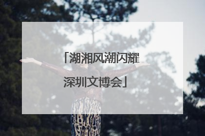湖湘风潮闪耀深圳文博会