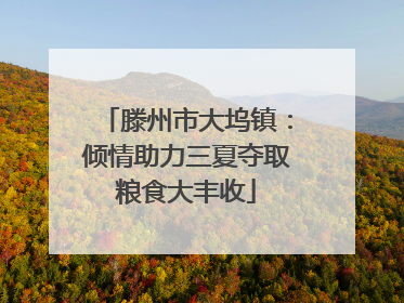 滕州市大坞镇：倾情助力三夏夺取粮食大丰收