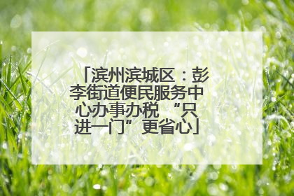 滨州滨城区：彭李街道便民服务中心办事办税 “只进一门”更省心