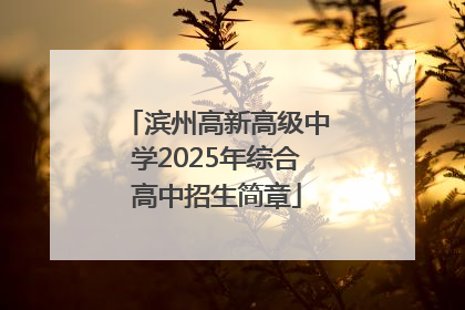 滨州高新高级中学2025年综合高中招生简章
