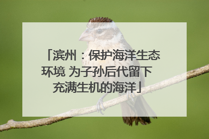 滨州：保护海洋生态环境 为子孙后代留下充满生机的海洋