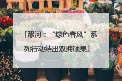 漯河：“绿色春风”系列行动结出双拥硕果