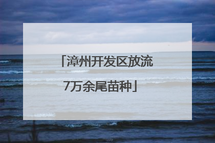 漳州开发区放流7万余尾苗种