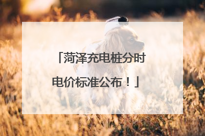 菏泽充电桩分时电价标准公布！