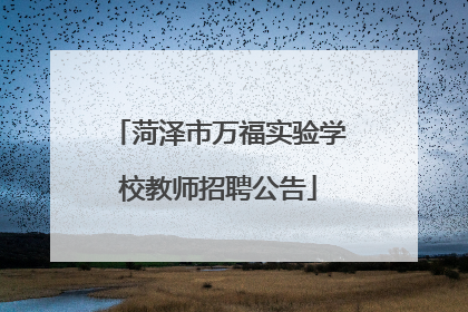 菏泽市万福实验学校教师招聘公告