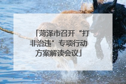 菏泽市召开“打非治违”专项行动方案解读会议