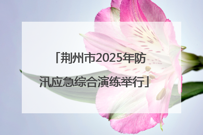 荆州市2025年防汛应急综合演练举行
