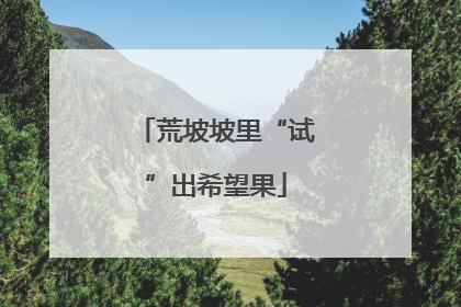 荒坡坡里“试”出希望果