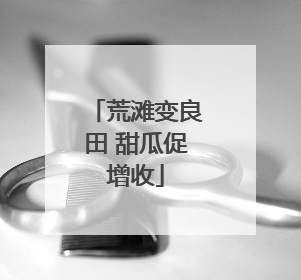荒滩变良田 甜瓜促增收