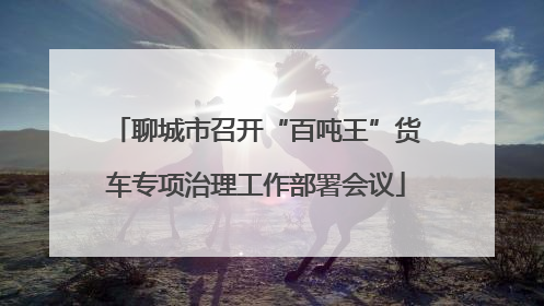 聊城市召开“百吨王”货车专项治理工作部署会议