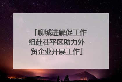 聊城进解促工作组赴茌平区助力外贸企业开展工作