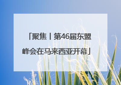 聚焦丨第46届东盟峰会在马来西亚开幕