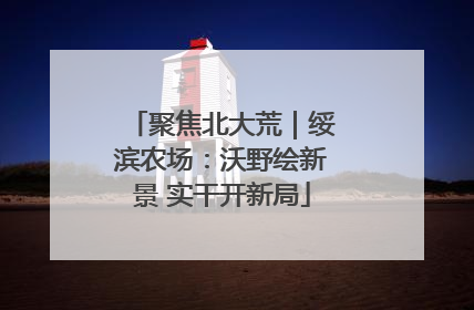聚焦北大荒｜绥滨农场：沃野绘新景 实干开新局