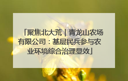 聚焦北大荒｜青龙山农场有限公司：基层民兵参与农业环境综合治理显效