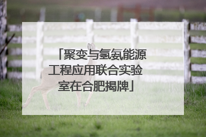 聚变与氢氨能源工程应用联合实验室在合肥揭牌