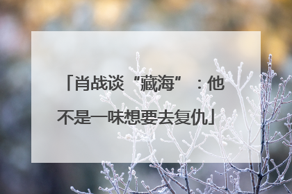 肖战谈“藏海”：他不是一味想要去复仇