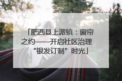 肥西县上派镇：窗帘之约——开启社区治理“银发订制”时光