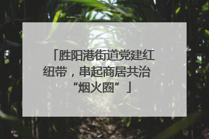 胜阳港街道党建红纽带，串起商居共治 “烟火圈”