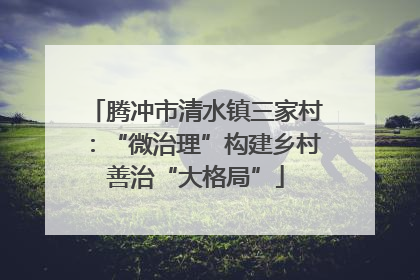 腾冲市清水镇三家村：“微治理”构建乡村善治“大格局”