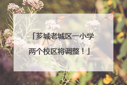 芗城老城区一小学两个校区将调整！