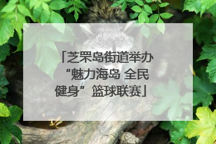 芝罘岛街道举办“魅力海岛 全民健身”篮球联赛