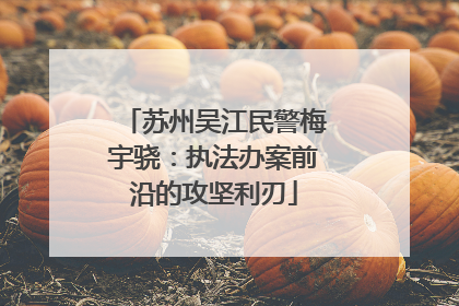苏州吴江民警梅宇骁：执法办案前沿的攻坚利刃