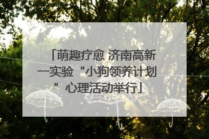 萌趣疗愈 济南高新一实验“小狗领养计划”心理活动举行