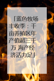 蓝色牧场丰收季：千亩养殖区年产值超三千万 海产经济活力足