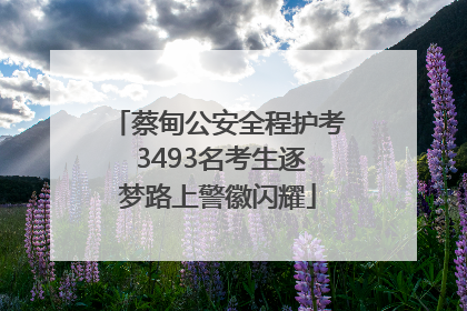 蔡甸公安全程护考 3493名考生逐梦路上警徽闪耀