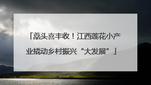 藠头喜丰收！江西莲花小产业撬动乡村振兴“大发展”