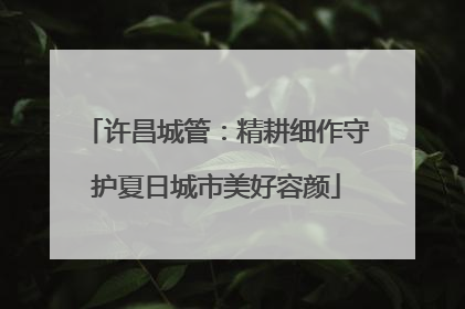 许昌城管：精耕细作守护夏日城市美好容颜
