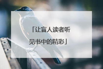 让盲人读者听见书中的精彩