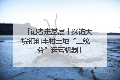记者走基层丨探访大垸镇和丰村土地“三统一分”运营机制