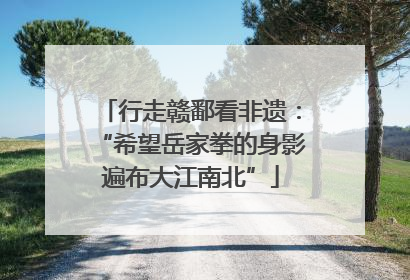 行走赣鄱看非遗：“希望岳家拳的身影遍布大江南北”