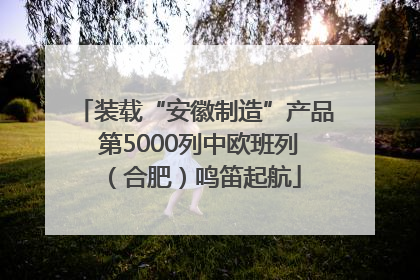 装载“安徽制造”产品 第5000列中欧班列（合肥）鸣笛起航