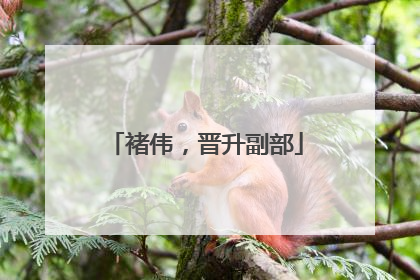 褚伟，晋升副部