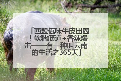 西盟佤味牛皮出圈！软糯筋道+香辣爆击——有一种叫云南的生活之365天